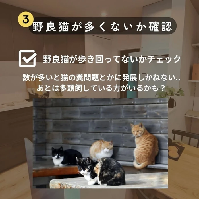画像1006