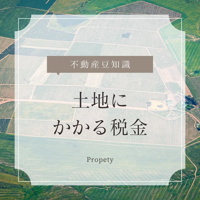 画像1241