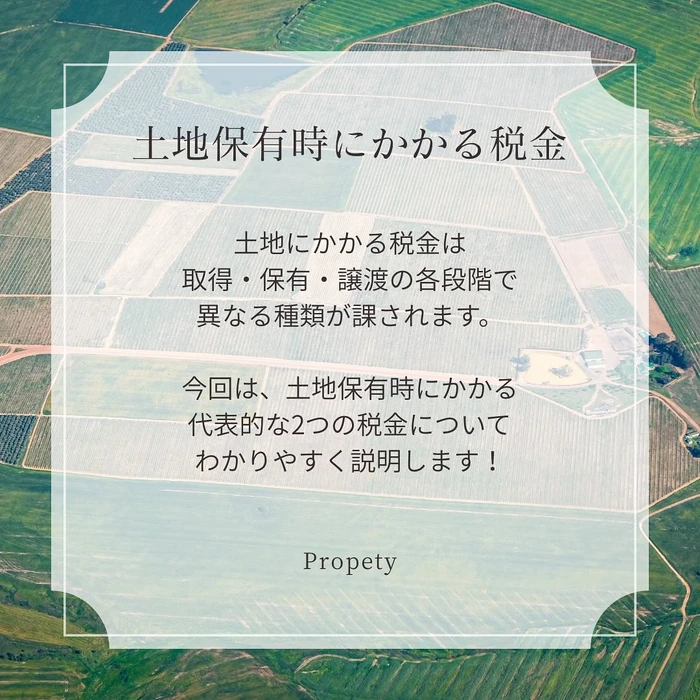 画像1242