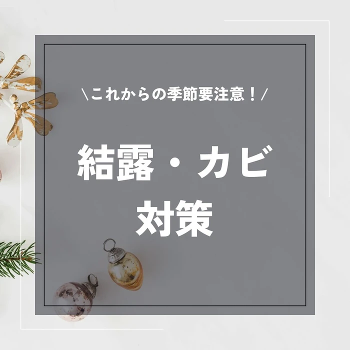 画像1248