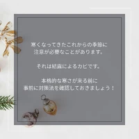 画像1249