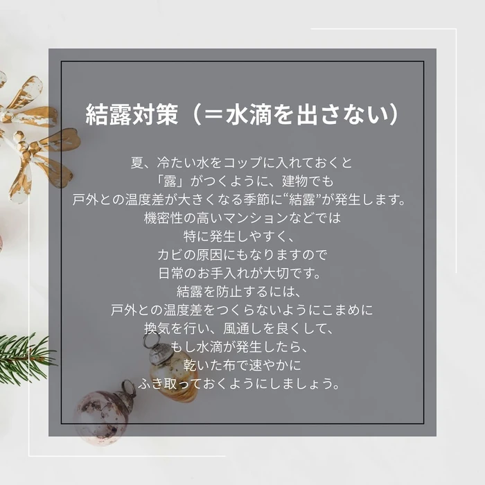 画像1250