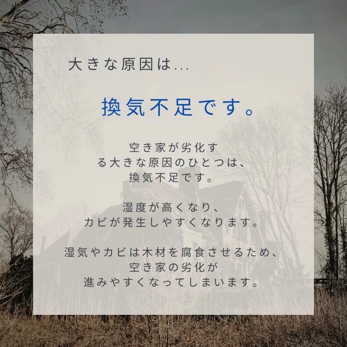 画像1286