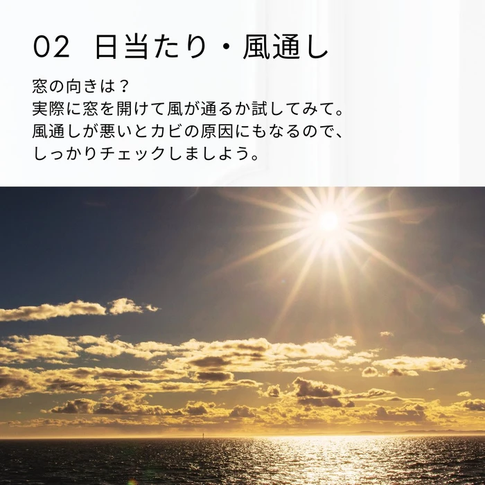 画像1347
