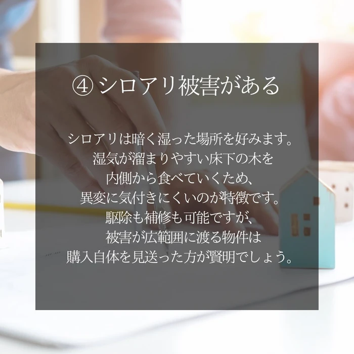 画像2009