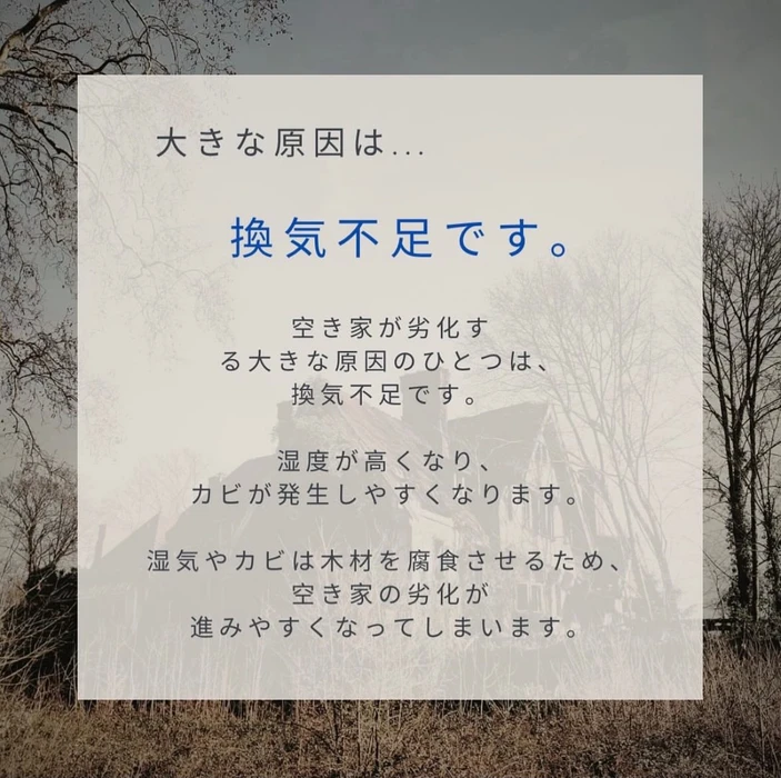 画像2227