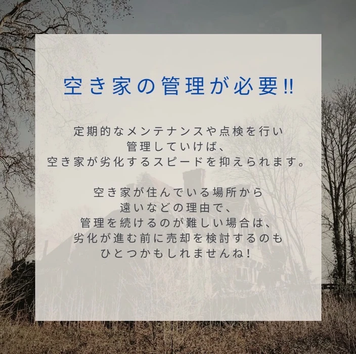 画像2228