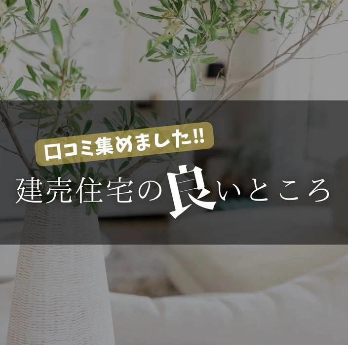 画像2276