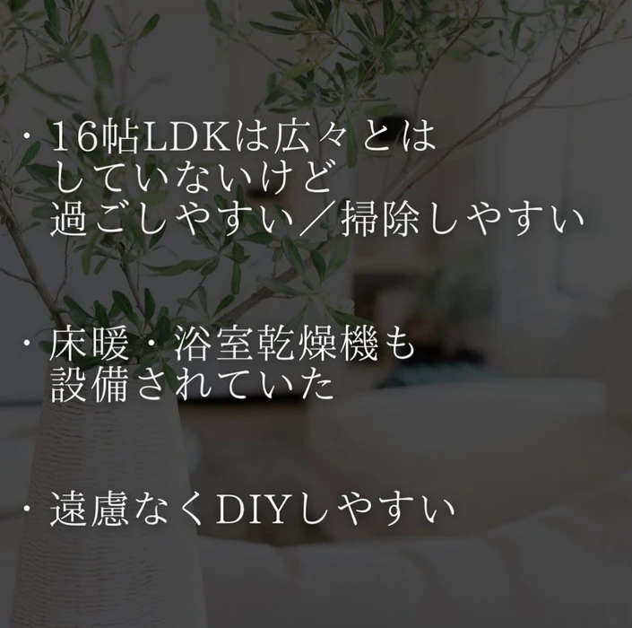 画像2278