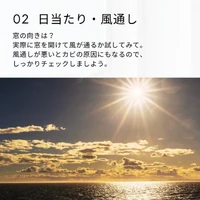 画像2317