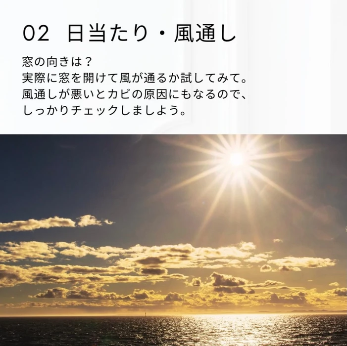 画像2317