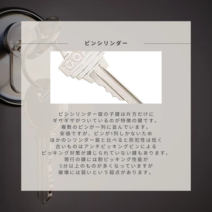 画像294