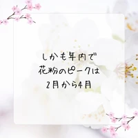 画像400