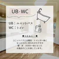 画像512