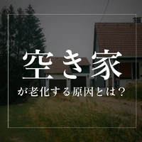 画像558