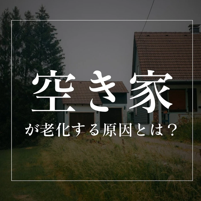 画像558