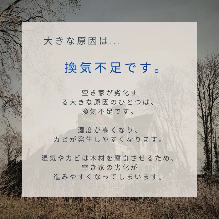 画像559