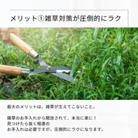 画像664