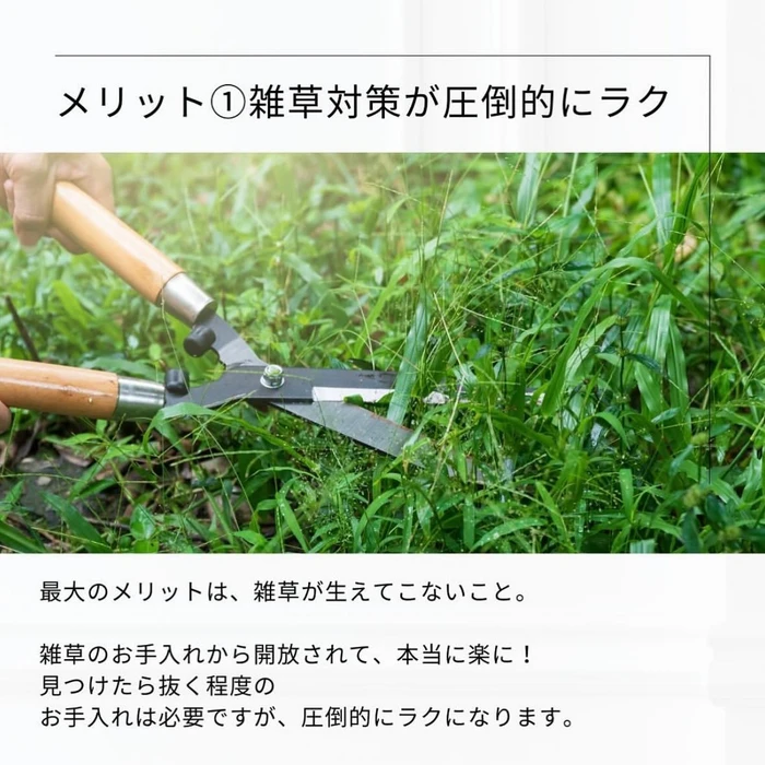 画像664