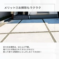 画像666