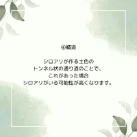 画像742
