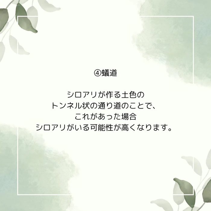 画像742