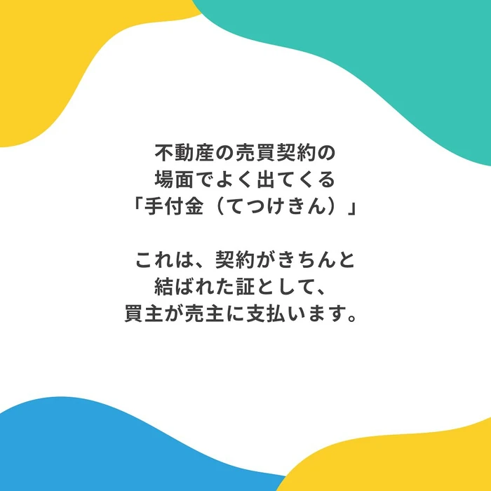 画像799