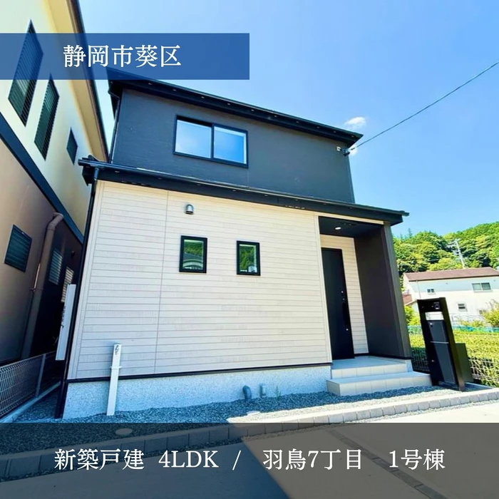 画像816